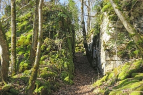 La Côte-d'Or, une destination aux richesses naturelles et historiques